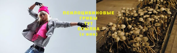 спиды Аркадак