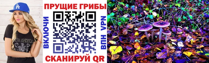 Псилоцибиновые грибы Psilocybe купить наркотики сайты МЕГА как войти Вихоревка